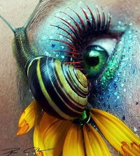 Александр Штерн