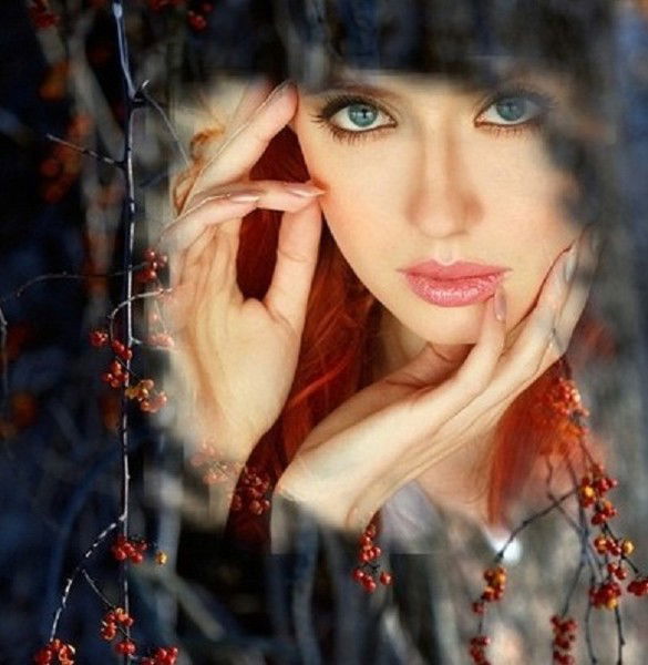 Роза ****************