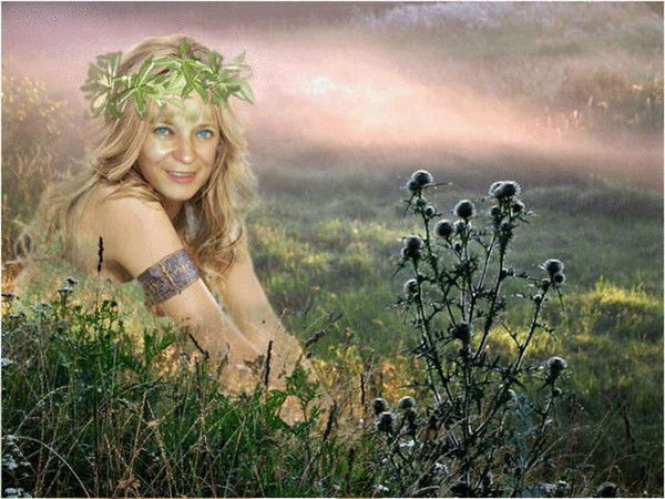 Татьяна Толмачёва