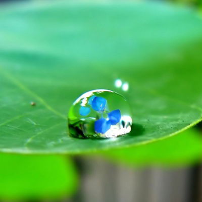 Марина Танкова