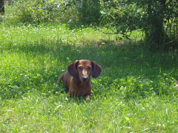 Сергей Васильев