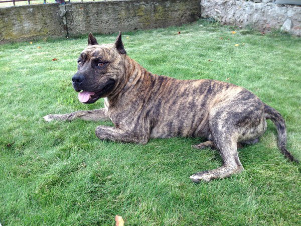 Владимир Яламов