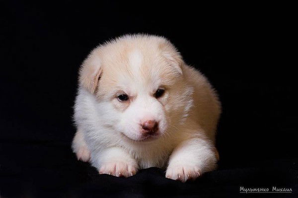 !!!!!девчонка -Карие Глаза!!!!!!