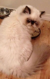 Мария Иванова