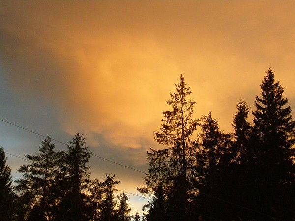 Игорь Васильев