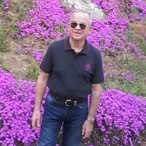 Engin Balkanli
