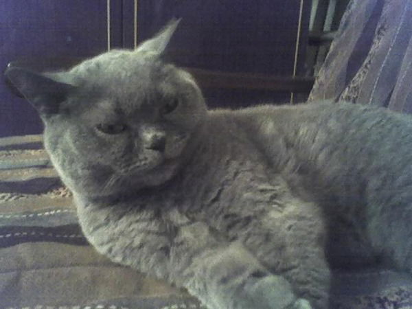 Андрей Рукавицын