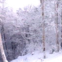 Александр Чернявский