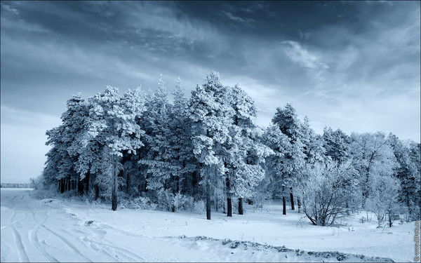 Александр Олейников