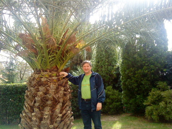 Олег Комаров