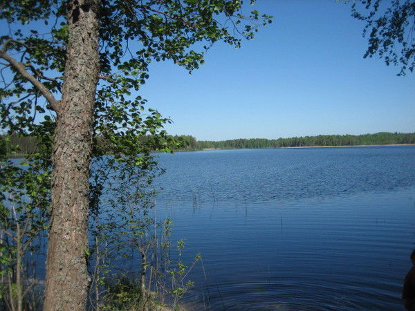 Алексей Филиппов