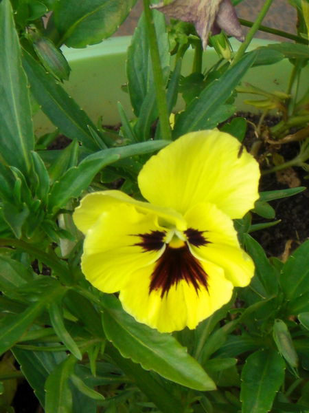 Светлана Вуколова