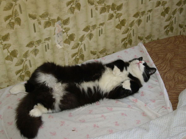 Дмитрий Галуев