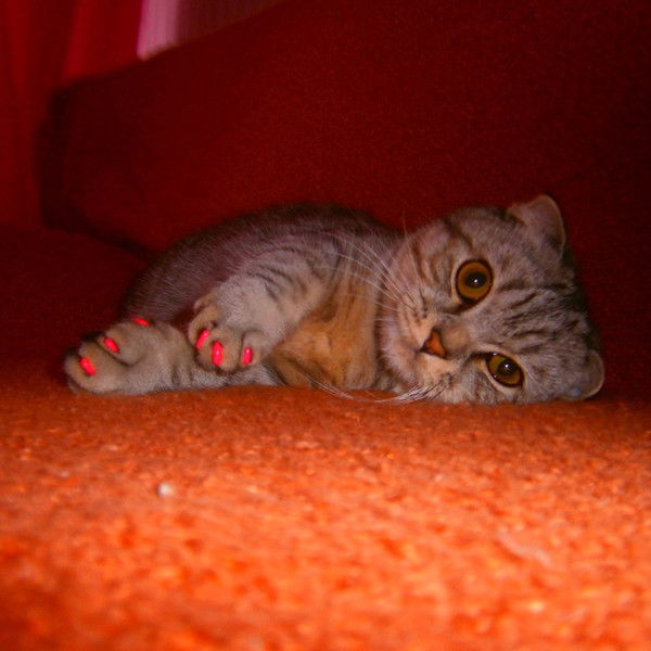 Ольга Бурова