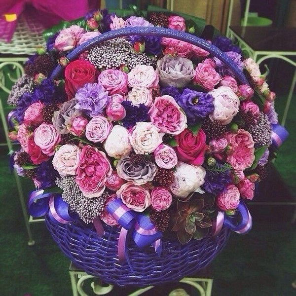 Нургул Кошкинбаева