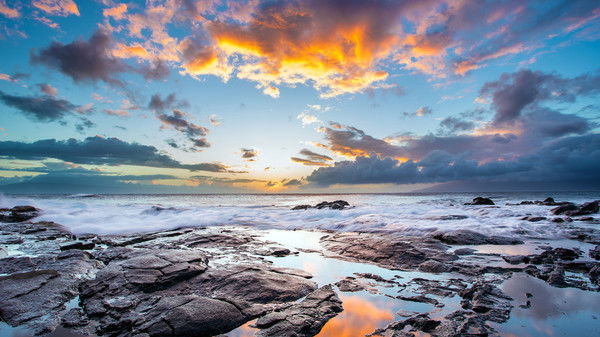 Анастасия Рыбалко