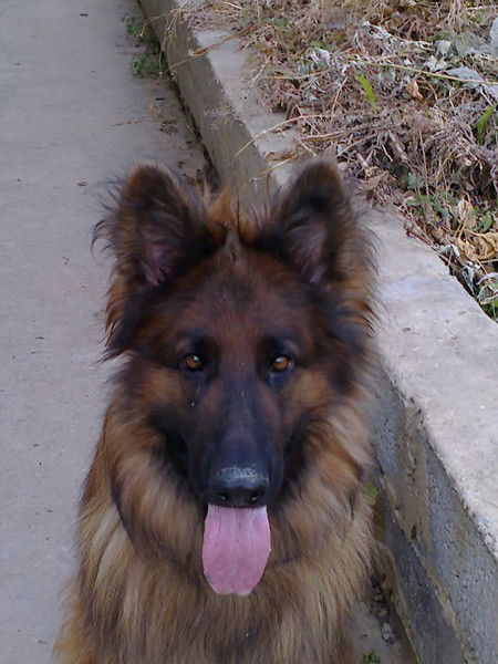 Наталья Ильина