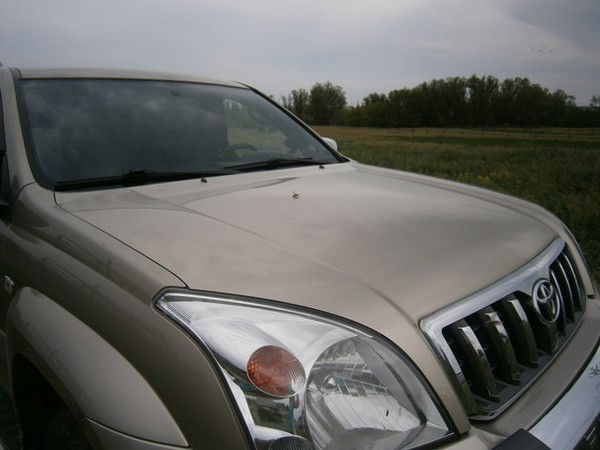 Флорид $$$$$$$$$