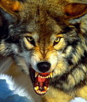 Айдар Джембаев