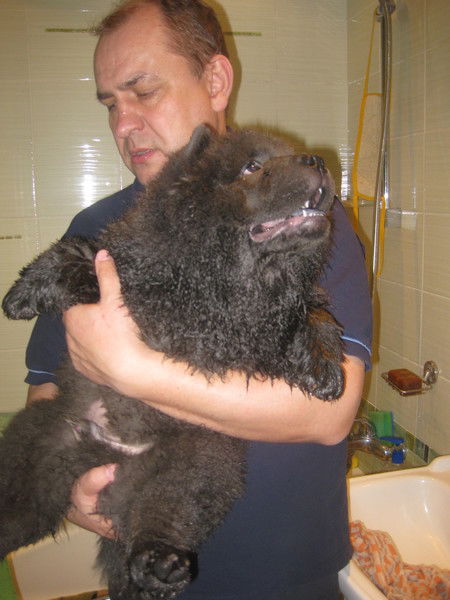 Андрей Чернышов