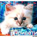*картинки_ Со Смыслом*