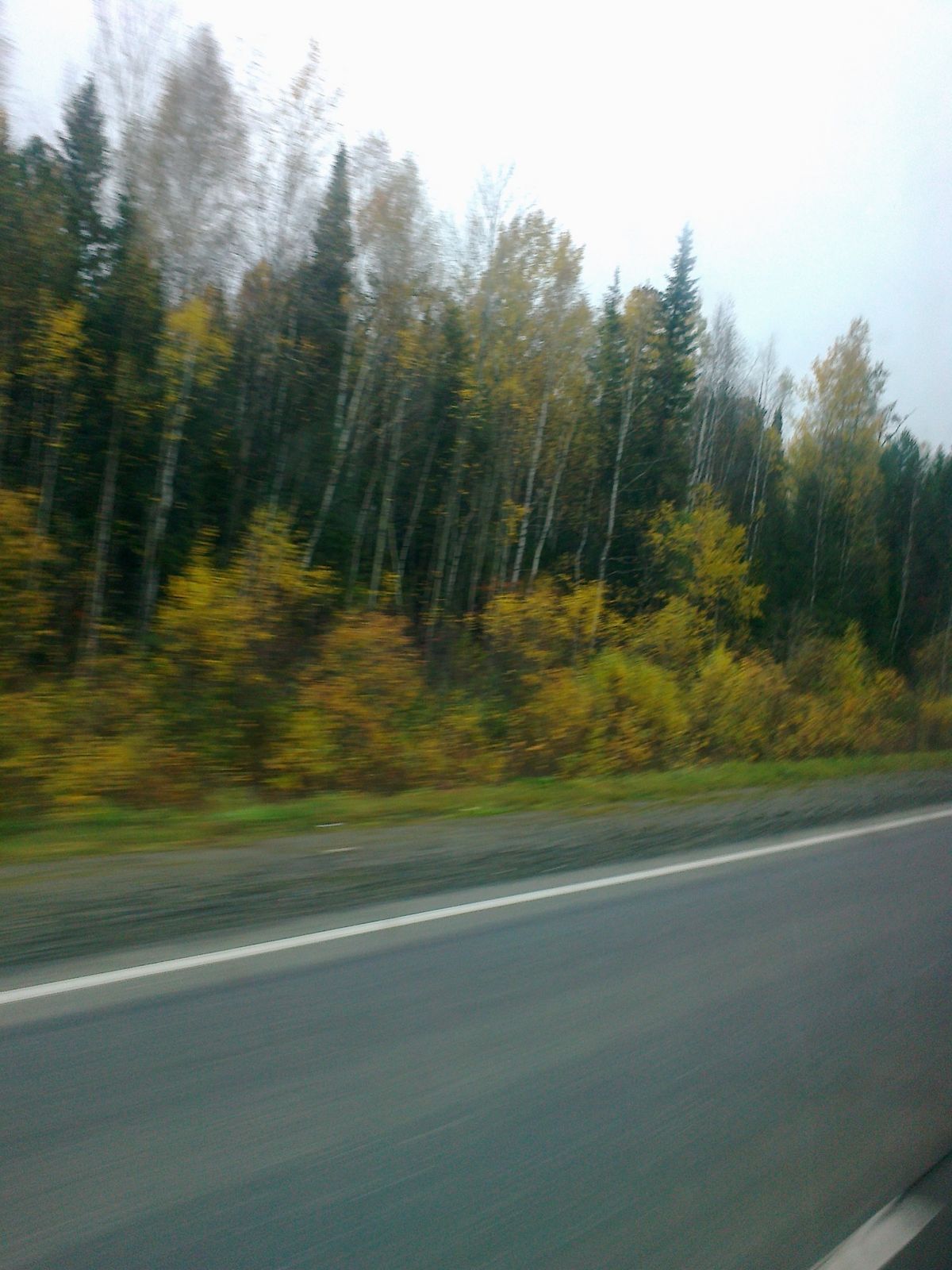 Елизавета Кочкина