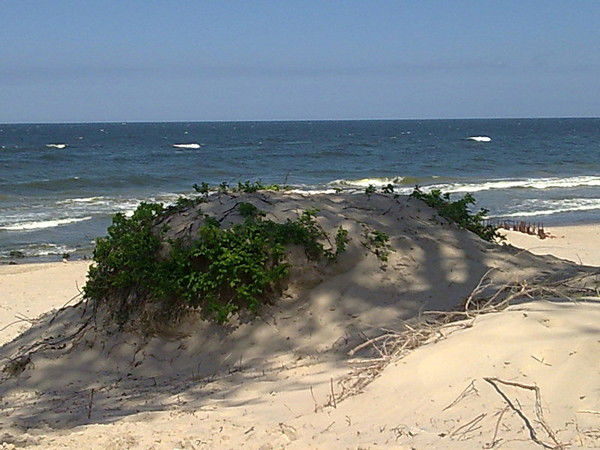 Алексей Мартынюк