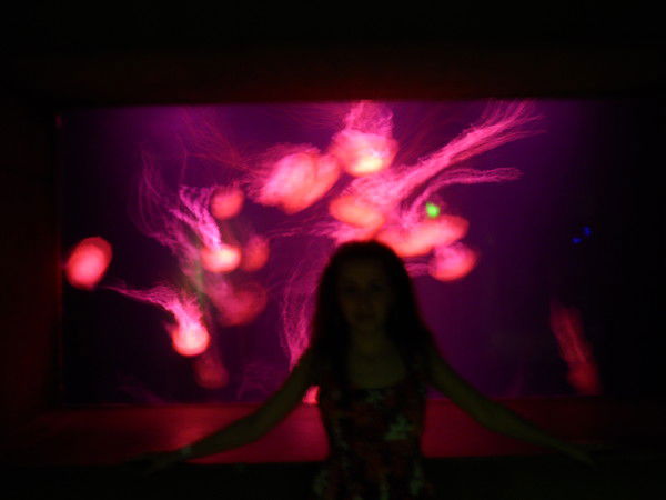 Хадижа Мирзоева