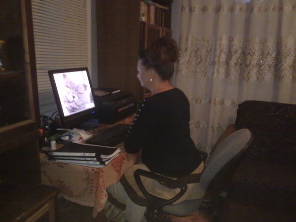 Светлана Рафикова