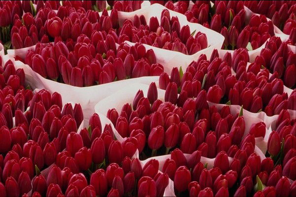 Жания Капашева