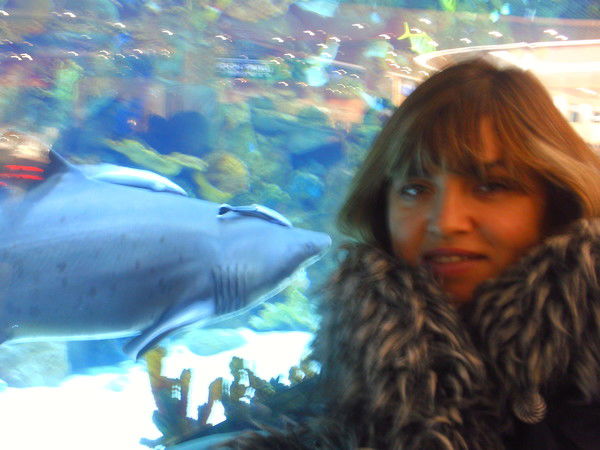 Ольга Соколова