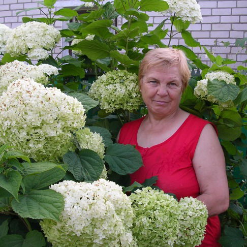 Ира Думиникэ