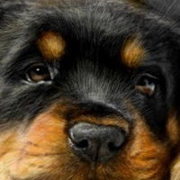 Александр Денисов