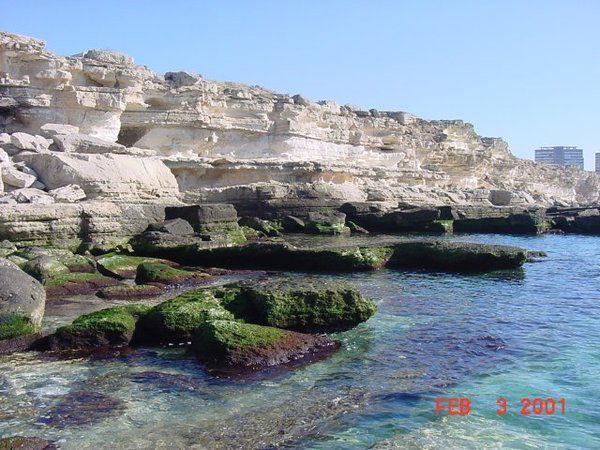 Унзила Хамидуллина