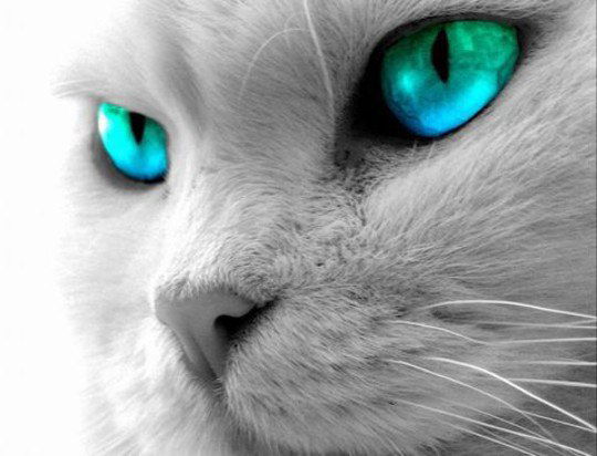 Жандос Ерназаров