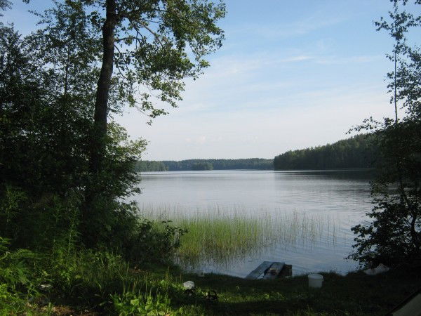 Лена Павлова