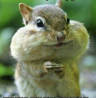 Сергей Стужин