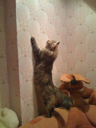 Лариса Васильева