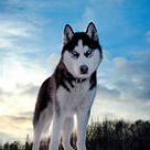 Кирилл Ерохин