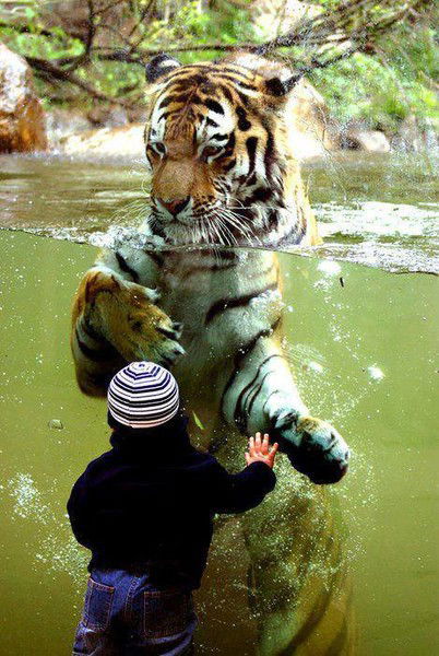 Жамиля Маскарбаева