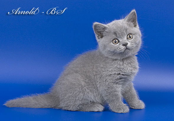 Наталья Малюкина