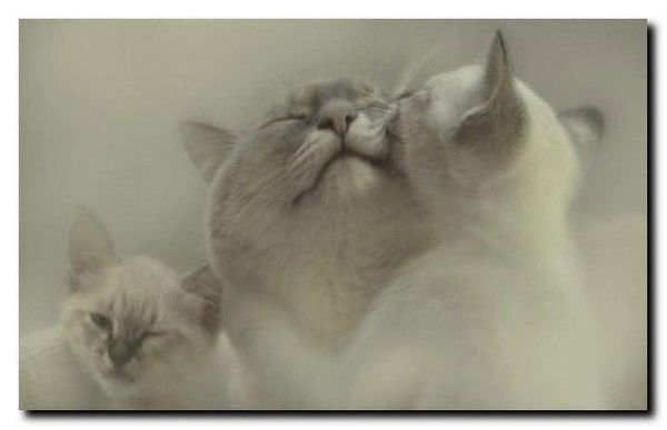 Наташа Карачун