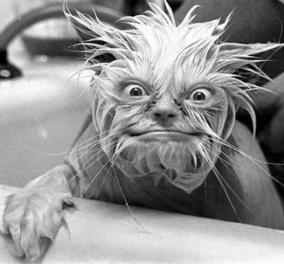 Неизвестно Неизвестно