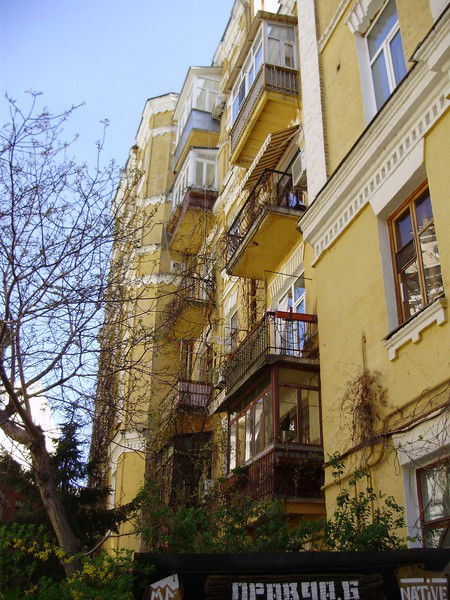 Лариса Миронова