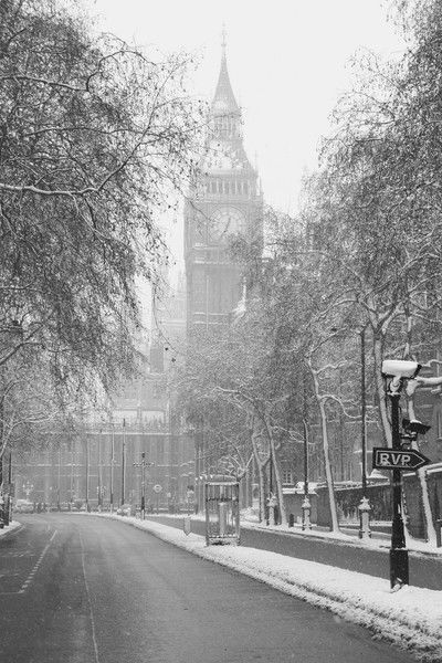 Никита Кориненко