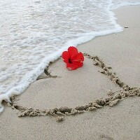 Юлия Молчанова