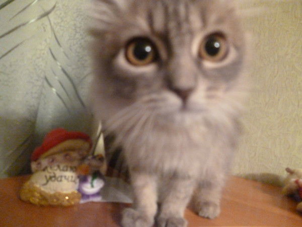 Кристина Марусина