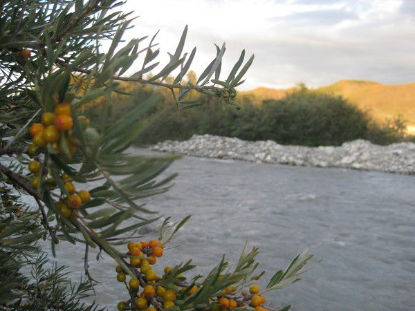 Руслан Халиков