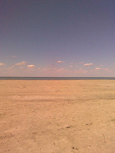 Нина Бурковская