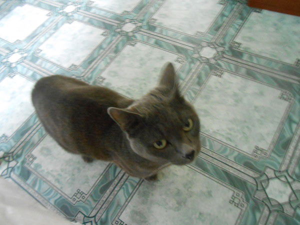 Ольга Кучукова